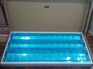 Ceiling light box 4x2ft (3 florescent)