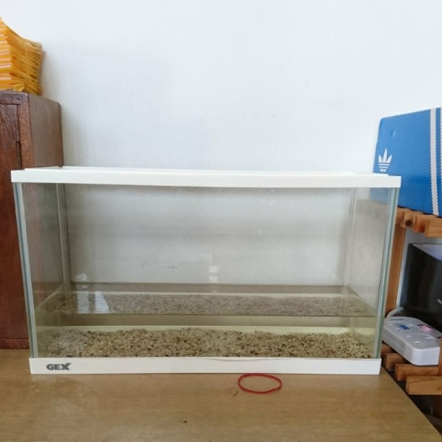 slim fish tank