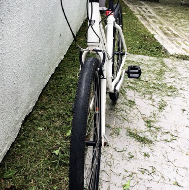 Trek verve shop 1 2018