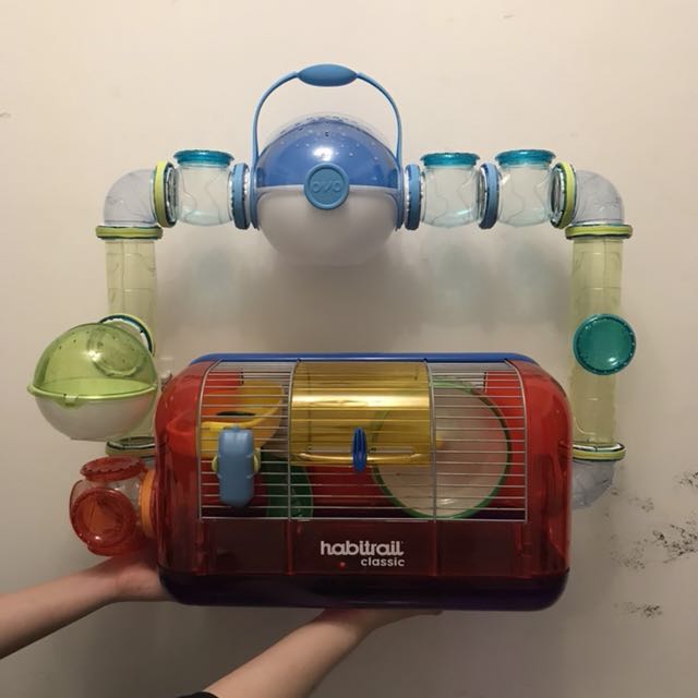 habitrail cristal tubes