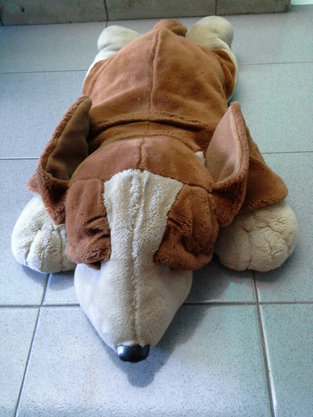 Boneka Besar Anjing Beagle Babies Kids Toys Walkers On Carousell