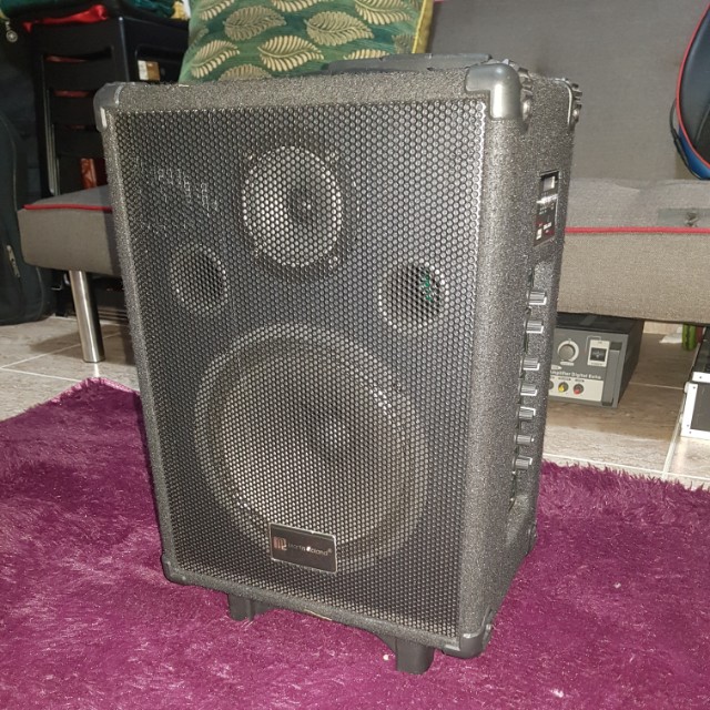 Martin Roland MAU 8 Portable Amplifier, Hobbies & Toys, Music & Media ...