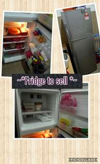2 doors Fridge