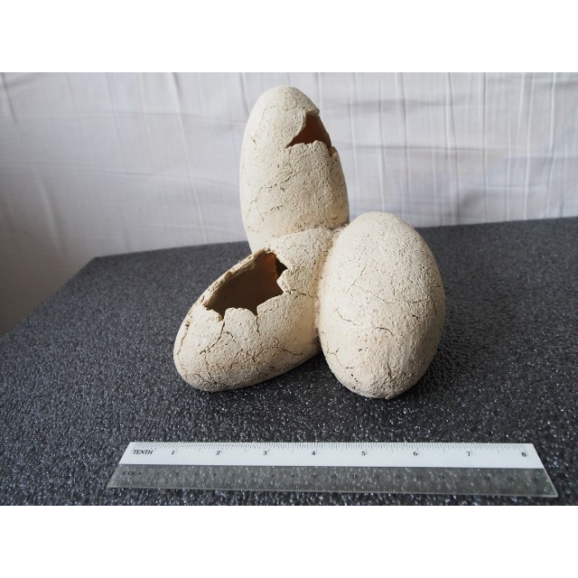 Exo terra 2025 dinosaur eggs