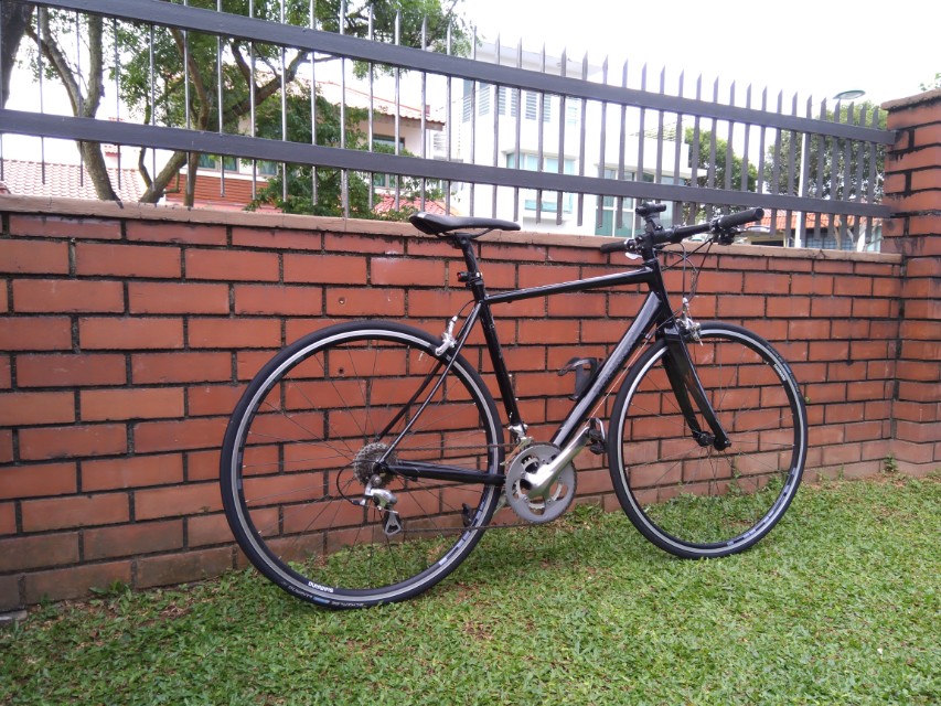 Polygon Helios F5 Extremely Underutilized Bicycles Pmds