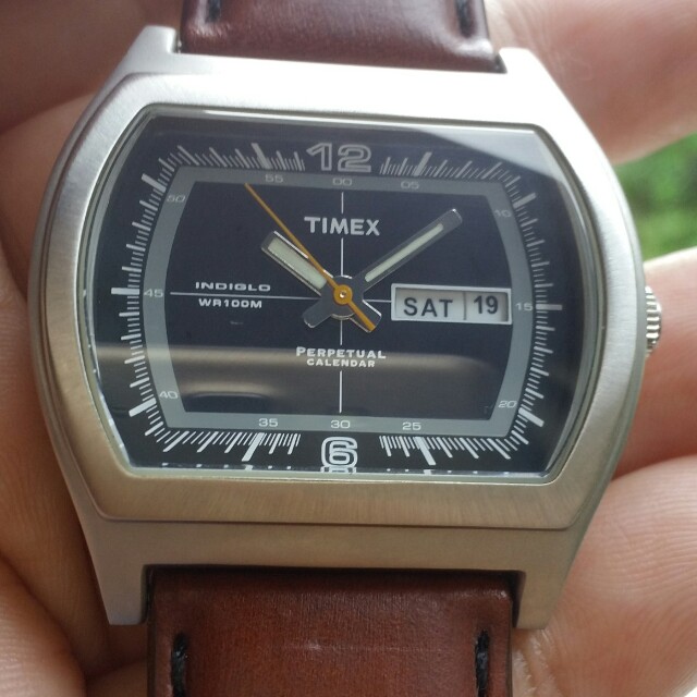 timex perpetual watch