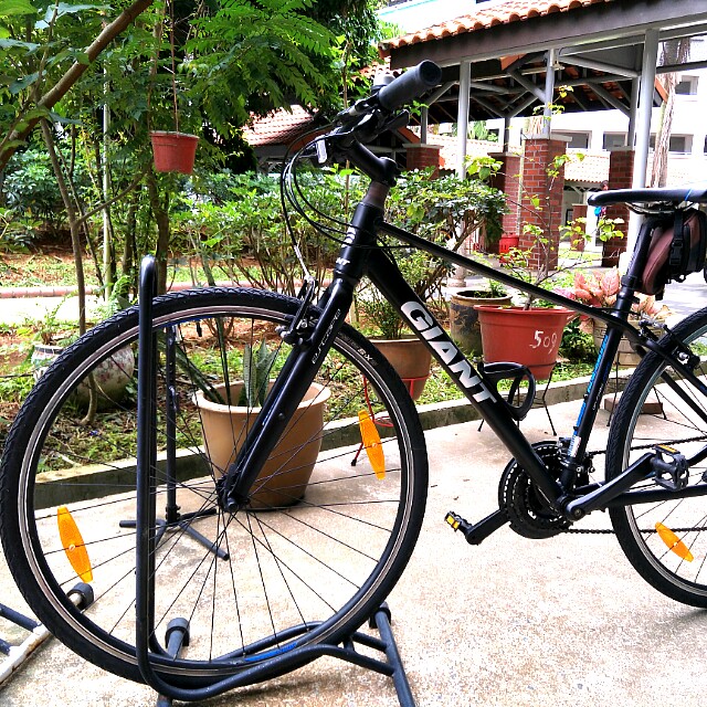 Giant escape 2 2016 2025