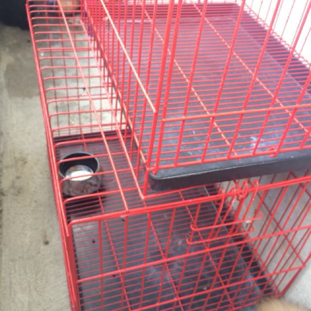 red dog cage