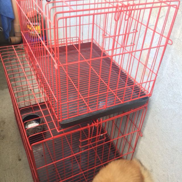 red dog crate
