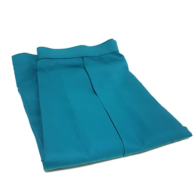 School Uniform Swiss Cottage Secondary School Skirt Women S