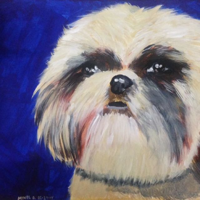 Shih Tzu Acrylic Painting On Carousell