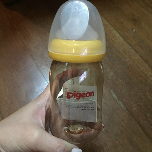 pigeon bottle price