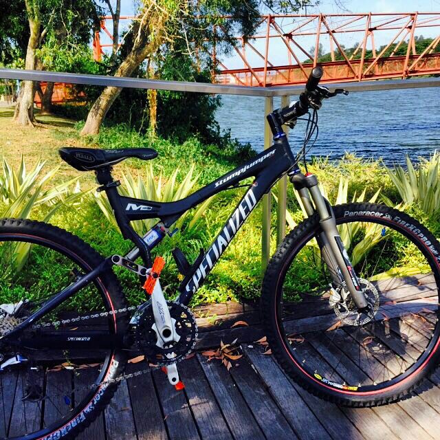 Specialized stumpjumper elite 2024 m4