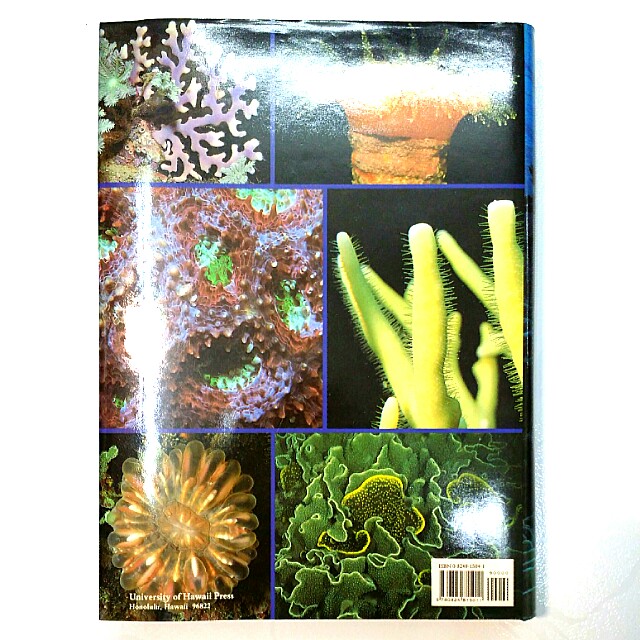 Corals of Australia and the IndoPacific by J.E.N. Veron (Adult Non