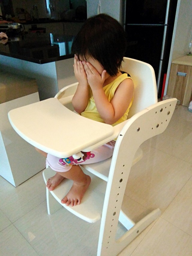 Herlag Tipp Topp Comfort High Chair