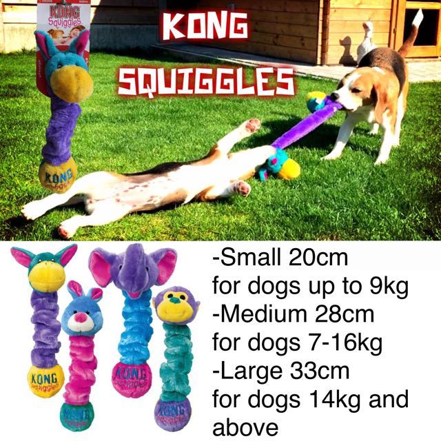 Kong squiggles small sale