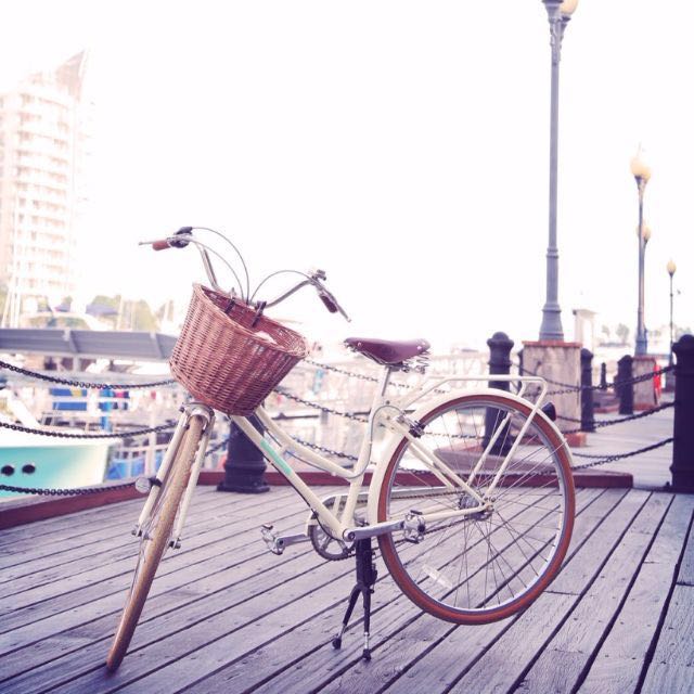 Papillionaire sommer bike best sale price