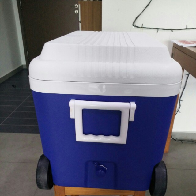Cooler Box, TV & Home Appliances, Kitchen Appliances, Wine Cellar