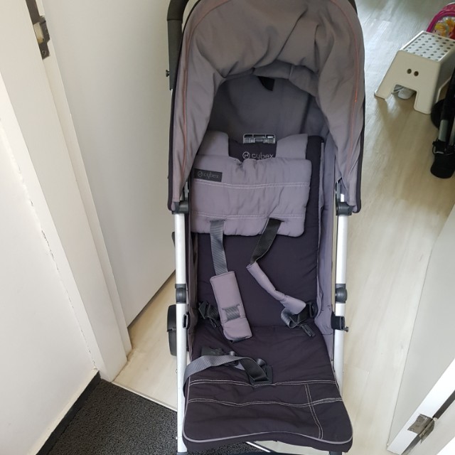 cybex callisto 2018