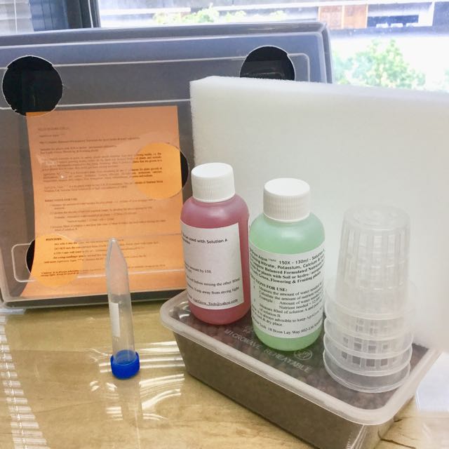 Hydroponics Starter Kit Gardening On Carousell