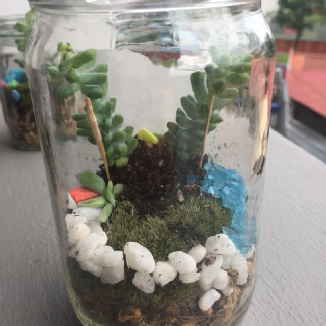 Terrariums for sale, Furniture & Home Living, Home Decor, Other Home