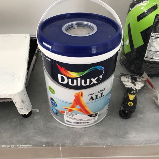5 litre Dulux Ambience All paint (silver pendant) 34YR 35/025