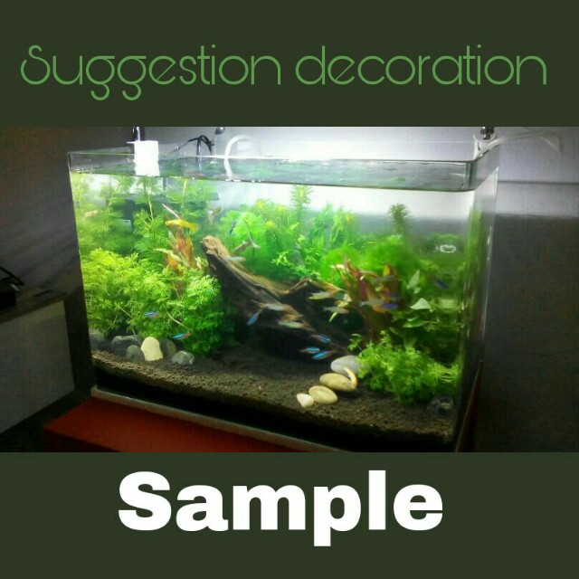 Aquarium Curve