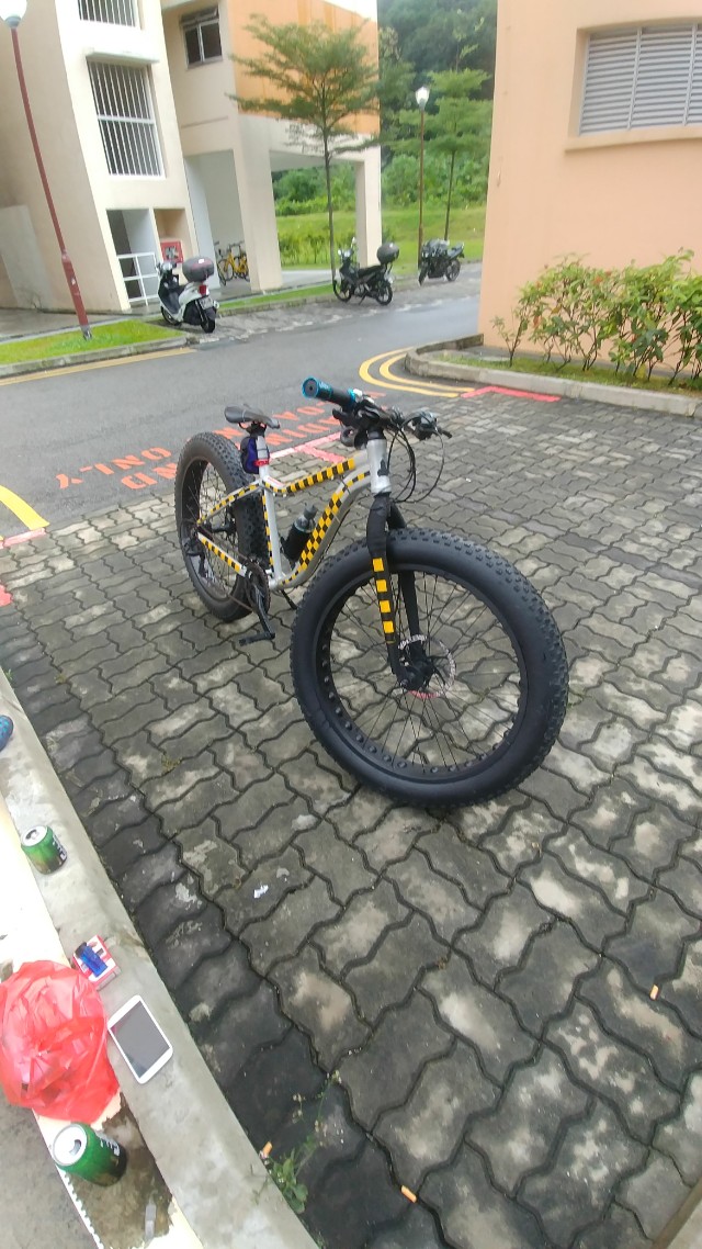 fat bike raleigh