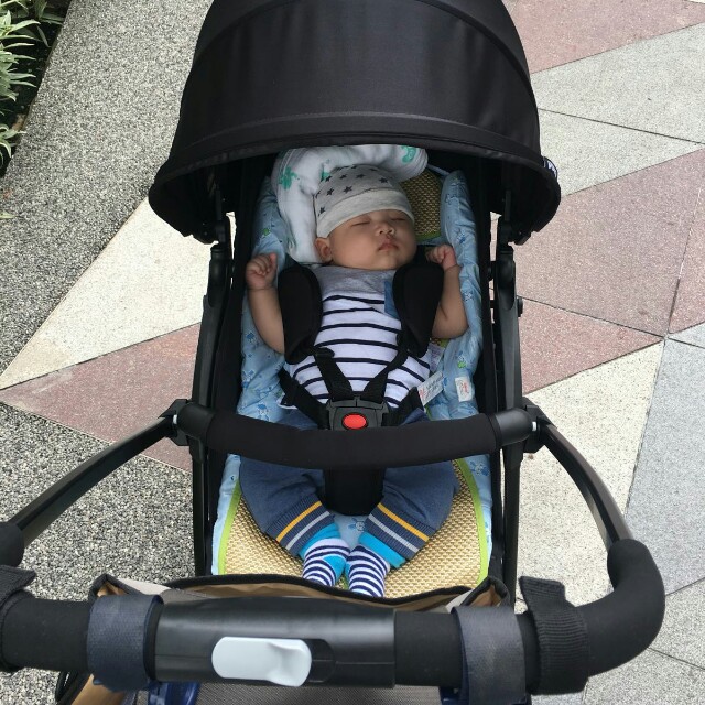 stroller facing both ways
