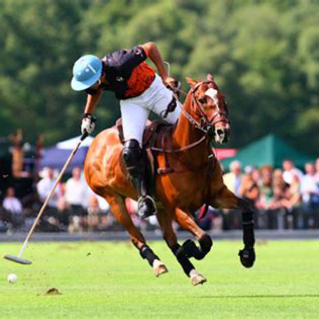 Singapore Polo Club Membership, Everything Else on Carousell