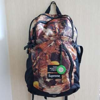 Supreme x the northe face pocono backpack leaves