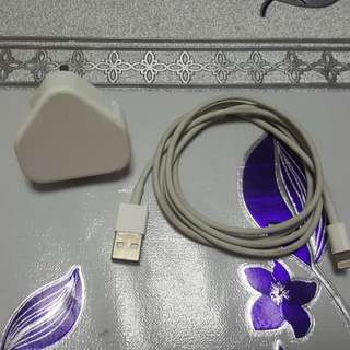 Original Set Open Not Used Before Lightning to USB Cable (1m) And Apple 5W USB Power Adapter.
