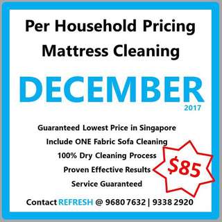 Professional Mattress Cleaning