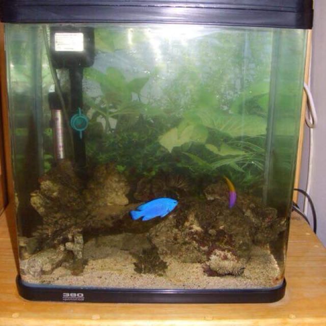 Aquarium For Sale In Cartimar 2024 www.horepnicko.cz