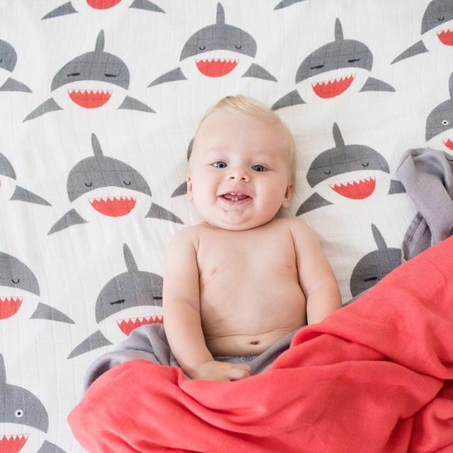 Chomp tula blanket shop