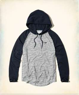 小麥代購全新M號Hollister hco海鷗 年輕休閒灰色帽T
