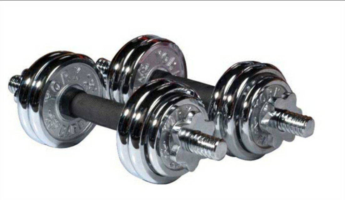 Dumbell 20KG, Sports Equipment, Exercise & Fitness, Weights & Dumbells ...