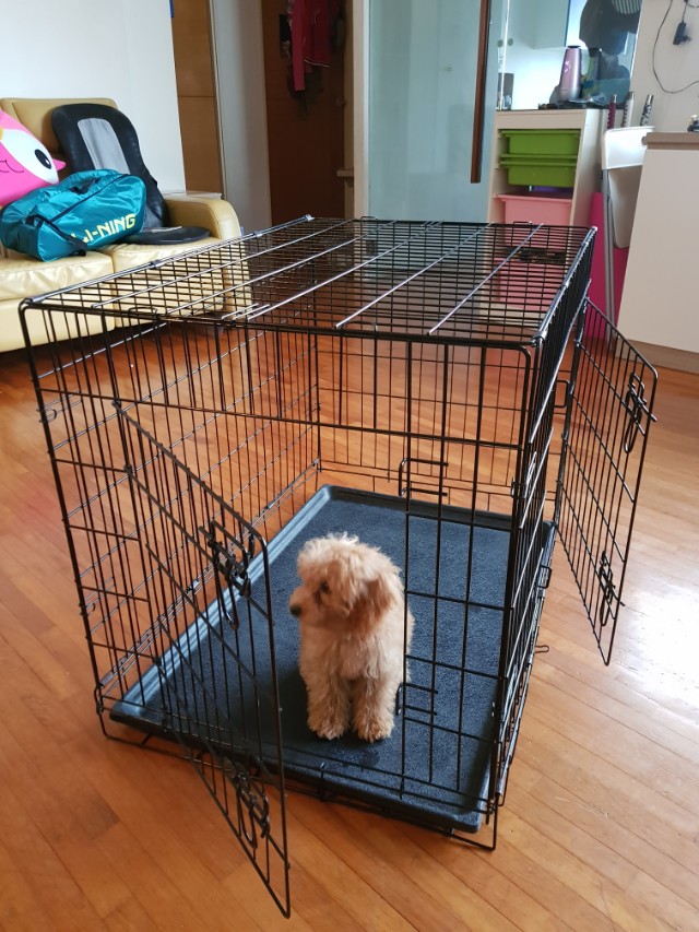 puppy cage for sale