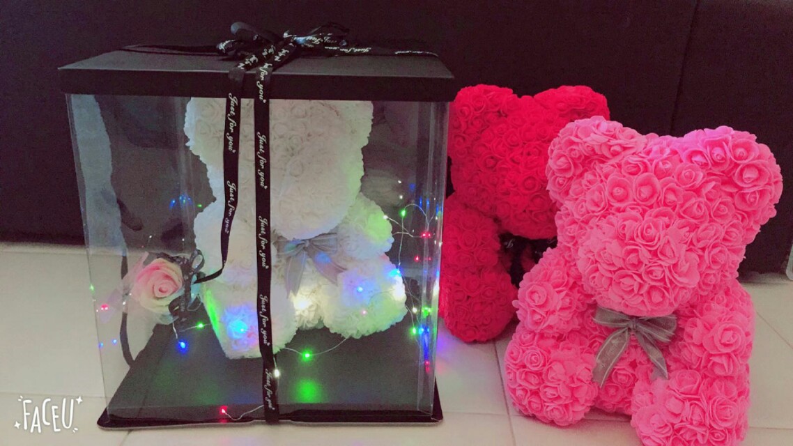 rose bear with lights