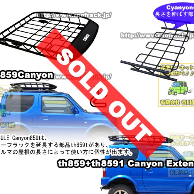 Thule Canyon 859 roof rack basket tray, Car Accessories on Carousell