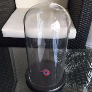 Glass Dome