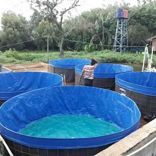 kolam bundar bioflok