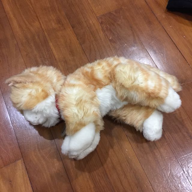 ginger cat plush