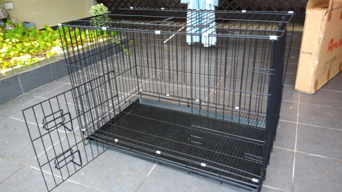 Pet Worx Migoto Aquaworld Pte Ltd nextrealty .br