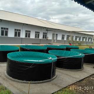 kolam bundar sistem bioflok