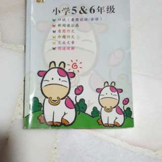 #Blessing Primary 5 & 6 chinese book
