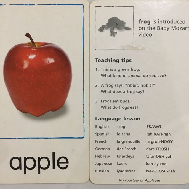 Baby einstein language discovery cards hobbies toys books