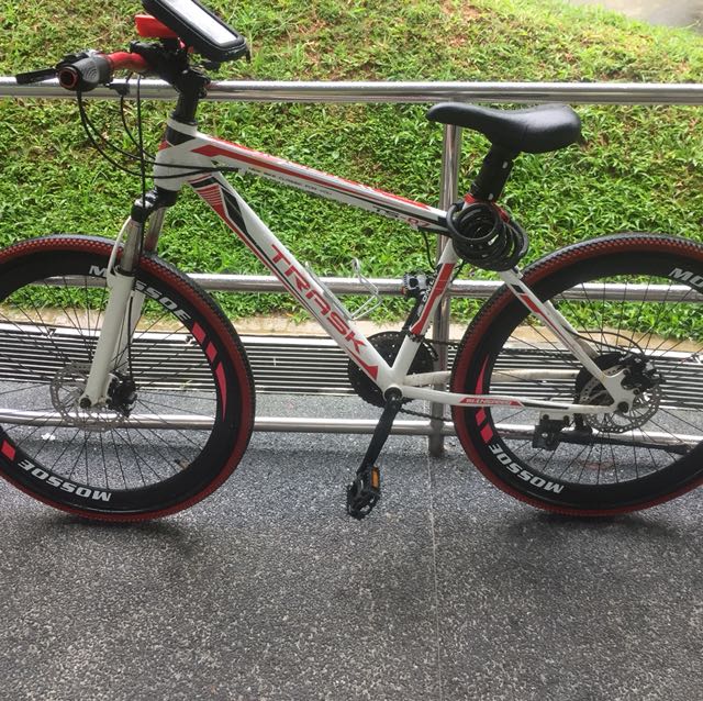 300 bicycle hot sale