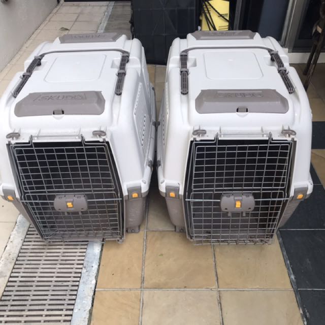 Skudo pet cage/carrier, Pet Supplies, Homes & Other Pet Accessories on Carousell