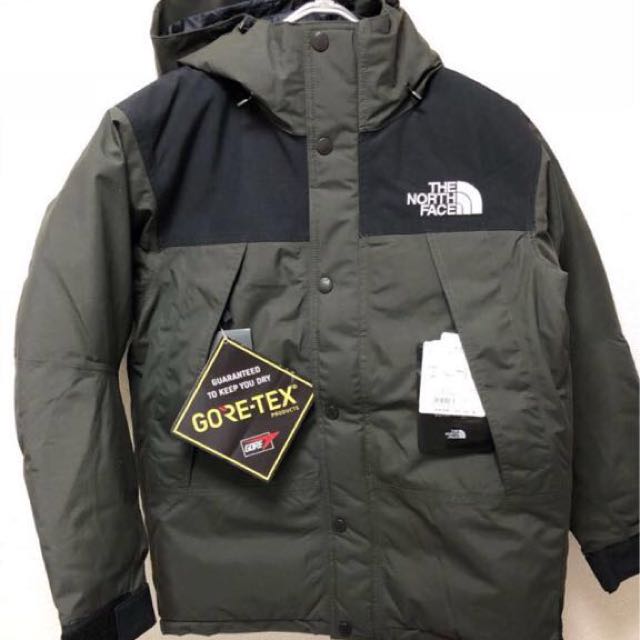 mountain down jacket north face